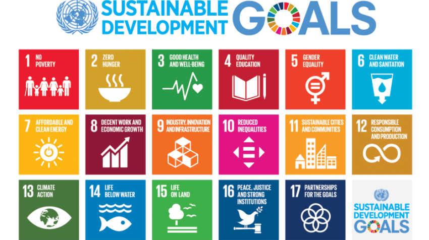 Integration and prioritization of the 17 Sustainable Development Goals in local government